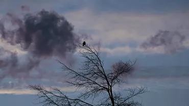 Alertă meteo: Coduri galbene de vreme rece, ninsori și vânt. Județele vizate (FOTO)