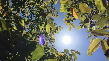 Răcire bruscă de temperaturi. Vremea în următoarele patru săptămâni