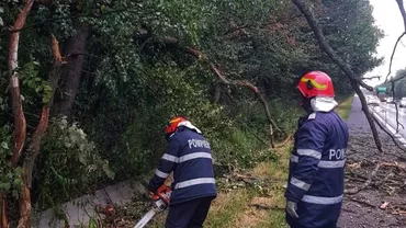 Mai mulţi copaci căzuţi la pământ din cauza zăpezii şi vântului în Hunedoara. Două maşini au fost avariate